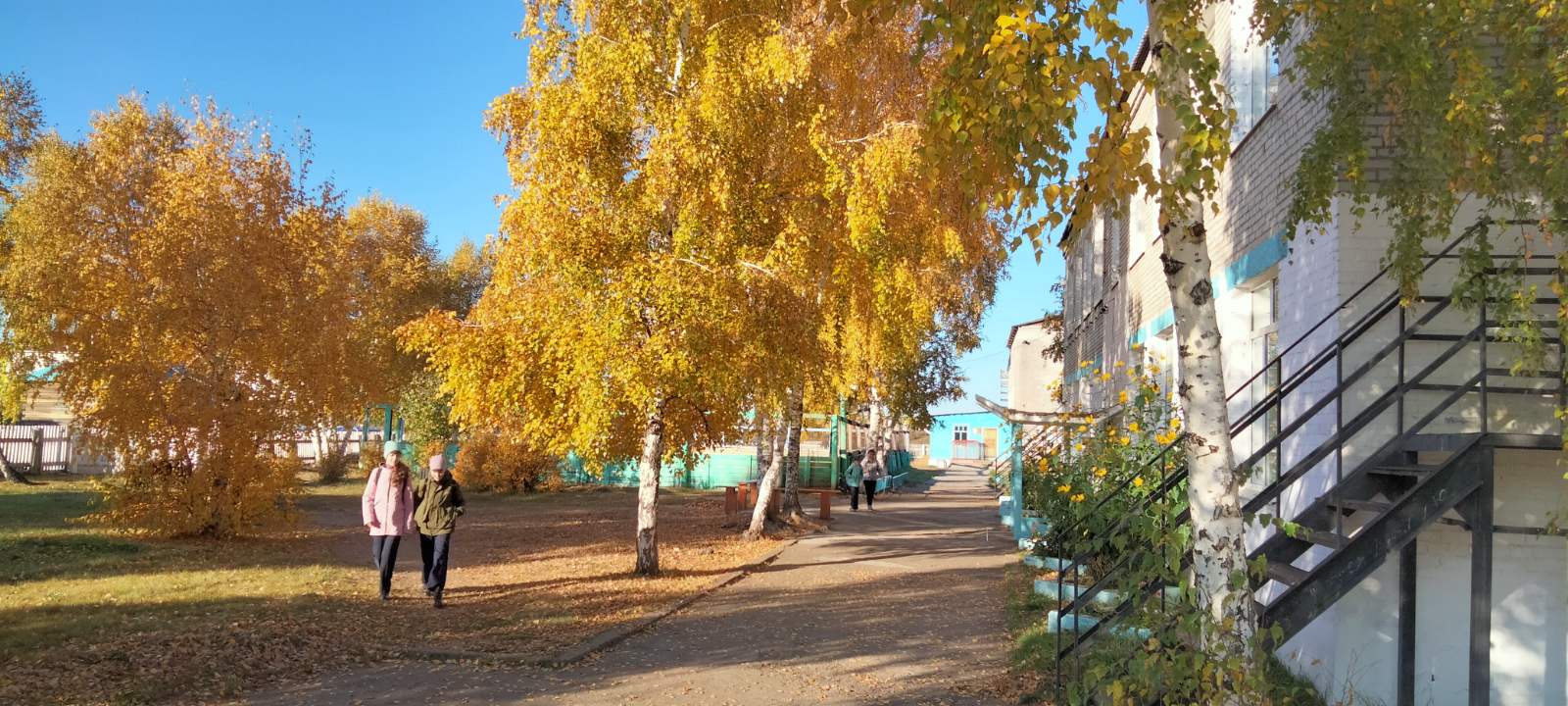 Осенние картинки.